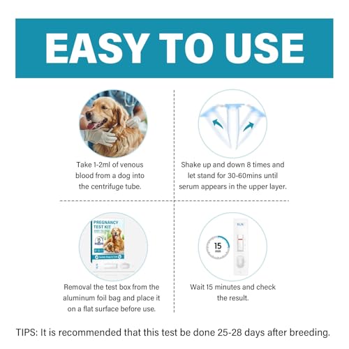 Image of Dog Pregnancy Test Kit, Disposable Pet Early Detection Pregnancy Test at Home, Fast and Convenient Pregnancy Test Strips for Dog & Cat