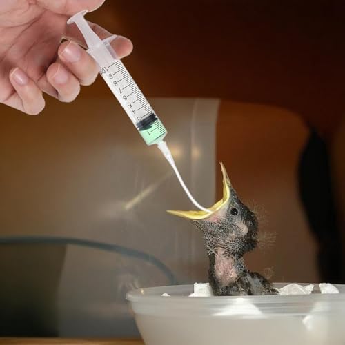 JIEYAO 10Stück Jungvögel Füttern Schlauch,2Stk Spritze 10ml Mit Schlauch Tauben Zubehör Feeder Futter Futterspritze knopfkanüle Handfütterungswerkzeug Für Baby Vögel Papageien Milch Wasser Medikamente