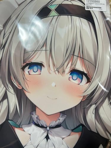 KAR X  X^[C z^Jo[ SJver karory