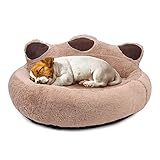 wuuhoo® Hundebett, Katzenbett Tapsy für Hunde und Katzen - weiches Haustierbett waschbar, Hundekörbchen, Katzenkorb für Haustiere M 55 cm (Liegefläche 40 x 34 cm)