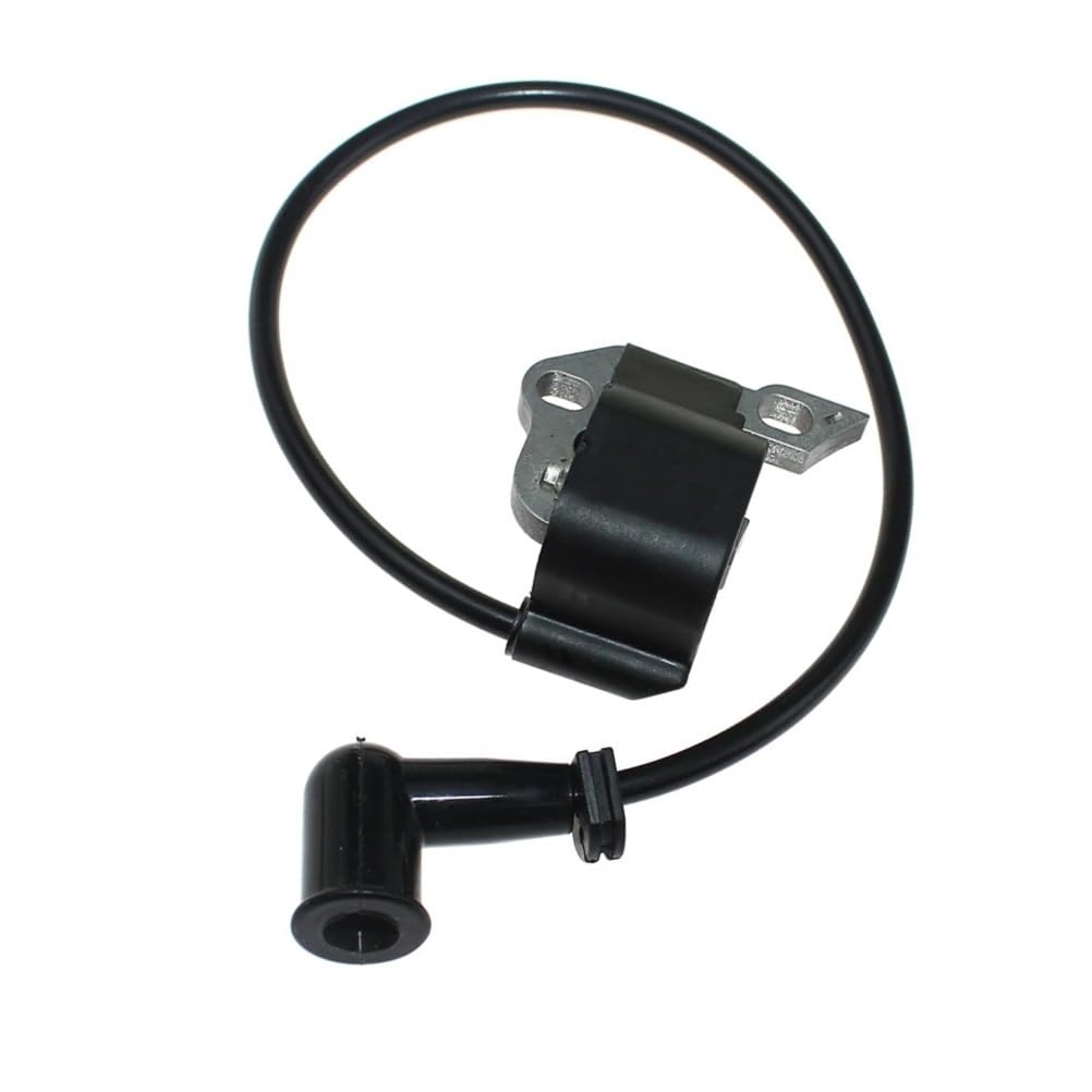 Bobina de encendido RY08420 y BP42, módulo de repuesto compatible 291424001