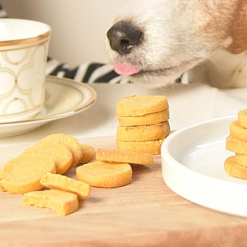 ˎRnEhJ   Y y tPA ჊ z CveBTutPA 70g×5 [Ⓚ]  Y   ɗD pNbL[ rXPbg {[ sgp Oet[ tPA t ɔz ܂