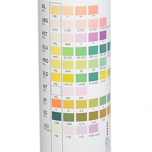 GIMA STRISCE URINA IN FLACONE - 10 parametri