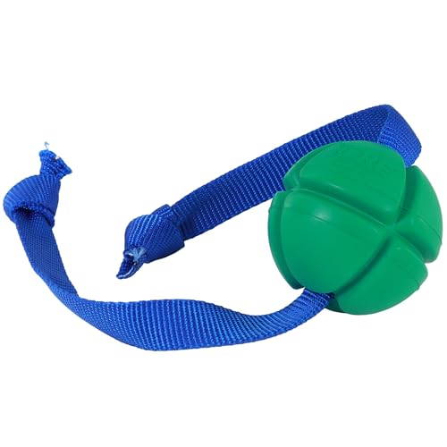 Jouet Chien Caoutchouc FloTex Vert M à rapporter et mâcher - 3