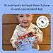 Cerebelly Toddler Bars - Organic Sweet Potato Blueberry Banana Smart Bars | Healthy Snack for Kids | 16 Brain-supporting Nutrients, Gluten Free, Nut Free, No Added Sugar | Baby Snacks | Pack of 5