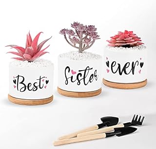 Sister Gifts from Sister,Sister Birthday Gifts ,Best Sister Ever Succulent Pots with 3 Pcs Min Tools are Unique Gifts for Sister and Arrive Beautifully Gift Boxed