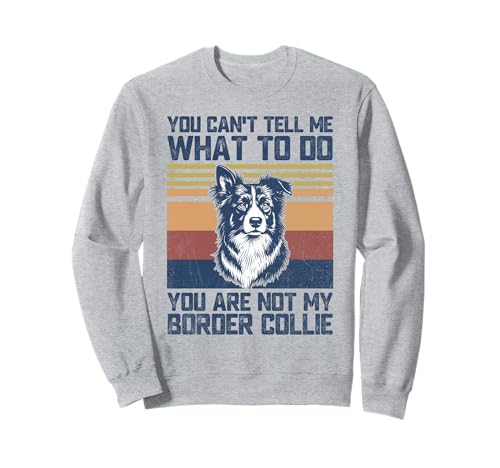 You are Not My Border Collie Dog Lover Dad Mom Men Women Sudadera