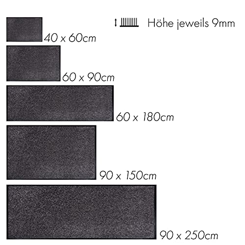 Astra Hochwertige Schmutzfangmatte - Fussmatte innen - bei 30° C waschbare Fußmatte - Rutschfester Läufer - Schuhablage Flur - Küche - blaugrau 60x90 cm
