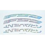 FSA Gradient 29In Decal Oil Slick, One Size