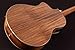 Washburn Bella Tono 6 String Acoustic-Electric Guitar, Right, Gloss Natural (BTSC56SCE-D)