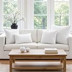 MIULEE Throw Pillow Inserts (Set of 2) Hypoallergenic Premium Pillow Stuffer Rectangle Form for Decorative Cushion Bed Couch Sofa 12x20 Inch