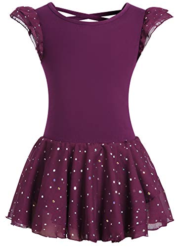 image for MOLLDAN Girls Dance Leotards for Ballet Dress Shiny Skirt Ruffle Sleev