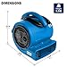 MOUNTO 1/5hp Air Mover 800cfm Blower Fan Carpet Floor Drying Fan - 3-Speed Compact Air Mover w/Dual Outlet, 10ft Power Cord for Drying, Cooling, Air Circulation (Blue)