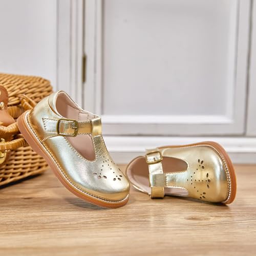 Image of GINFIVE Toddler Girls Dress Shoes Little Kids Flats School Mary Janes Shoes