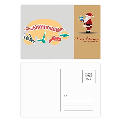 Cartes postales squelette spinal Père Noël pour décorer vos cabinets de kinésithérapie en fête