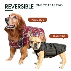 Kuoser warm dog coat reversible dog jacket waterproof dog winter coat british style plaid dog clothes pet dog cold weather coats cozy snow jacket vest for small medium large dogs red xs  urban country home decor