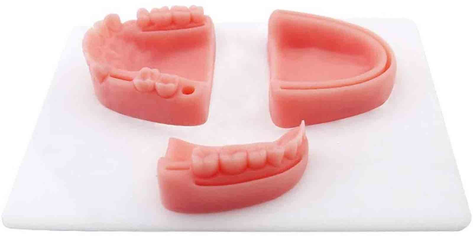 XBDDERGOU Dental Suture Practice Model, Simulated Oral Suture-Dental Oral Rubber Soft Suture Dental Kit for Medical Skills Training Tools