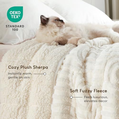 Image of Cottonblue Jacquard Weighted Blanket for Adults Twin Size 12 lbs, Soft Fluffy Sherpa Fleece Weighted Blankets Throw 48 inch x 72 inch for Sleep Relax, Fuzzy Warm Arch Heavy Blanket for Bed Sofa, Cream White