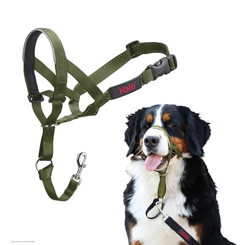 HALTI Headcollar - to Stop Your Dog Pulling on The Leash. Adjustable, Reflective and Lightweight, with Padded Nose Band. Dog Training Anti-Pull Collar for Large Dogs (Size 4, Forest Green)