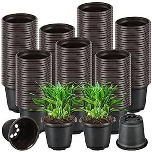 Guruji Plantation 60 Pcs of 4 Inch Round Black Plastic Flower Pots for Indoor Plants Small Heavy Duty for Gardening, Balcony, Garden Flowers, Home Decoration Gamla with Drainage Hole (Pack of 60) (B0CPD25SY6) Amazon Price History, Amazon Price Tracker