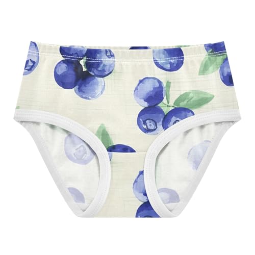 Print Girls Underwear Toddler 2t Cotton Panties for Girl Watercolor Blueberries Beige Briefs Underpants