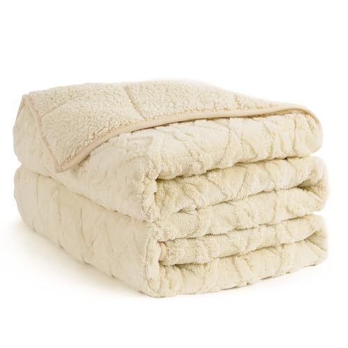 Topblan 15lbs Queen Size Weighted Blanket with Cozy Sherpa, 60 x 80 inches, Beige