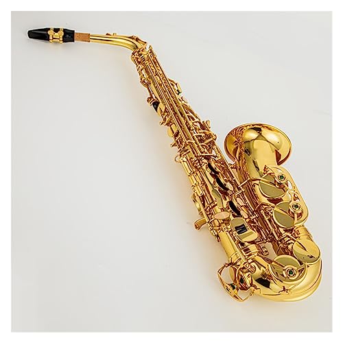 vtFbVi TbNX Ag Eb `[ TbNX uX S[h bJ[Ǌy E-tbg TbNX P[XƃANZT[t