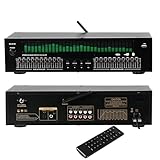 EQ8100 20-Band Graphic Equalizer, 31-Band Spectrum Analyzer, Bluetooth 5.4 Home Stereo Equalizer with Spectrum Display for Stage, Concert, Recording Studio, Optical Fiber/Coaxial Input, Rack Mounted