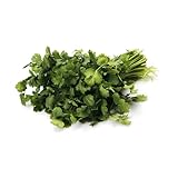 Cilantro, One Bunch