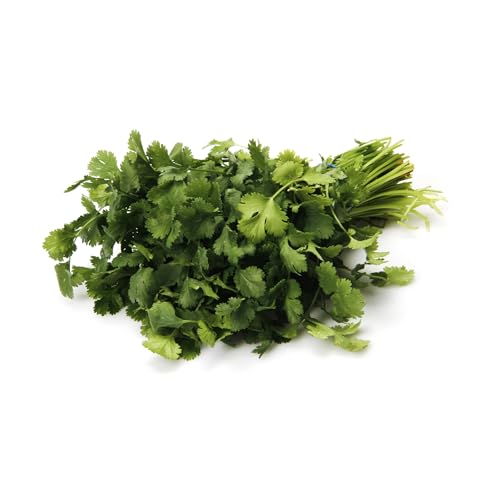 Cilantro, 1 Bunch (United States or Mexico)
