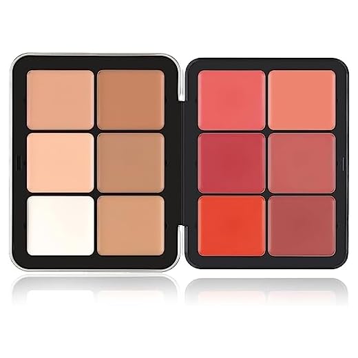 Palette anti-cernes Carla Secret, Maquillage Carla Secret 12 couleurs, Palette de correcteur de crème imperméable longue durée, Crème correctrice correctrice de couleur (Blush A + Concealer A)