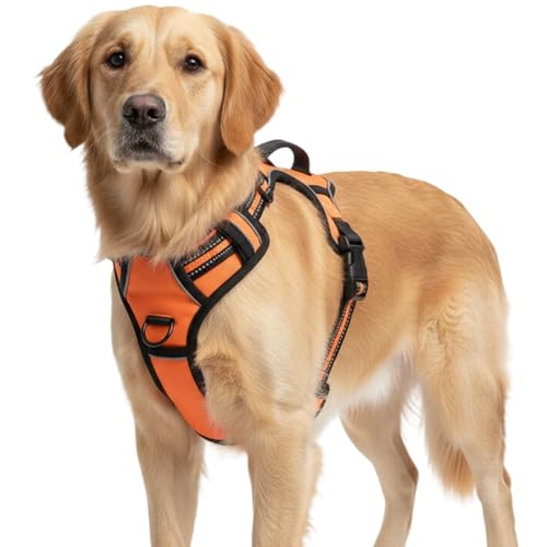 Hundegeschirr, Hundegeschirr, Atmungsaktives Material, Bequeme Passform, Für Kleine Und Mittlere Hunde, Orange