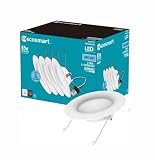 EcoSmart 5/6 in. Daylight Integrated LED Recessed...