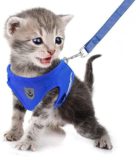 Image of FEimaX Dog Harness and Leash Set for Walking, Soft Mesh Adjustable Easy Control Lightweight Cat Vest Harnesses with Reflective Strips, Escape Proof Small Dogs Cats Vests (Blue, Small)