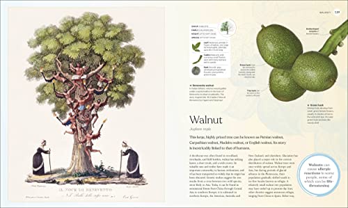 The Tree Book: The Stories, Science, and History of Trees - Image 12