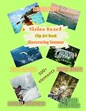 Summer adventure: clipart board book for everyone