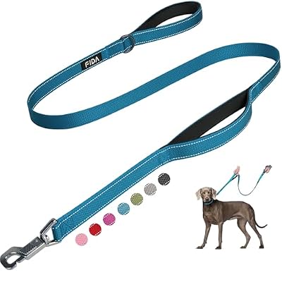 Fida Heavy Duty Dog Leash for Medium Large Dogs, 4 FT, Dual Padded Handles