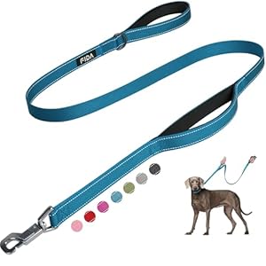 Fida 5 FT Heavy Duty Dog Leash with 2 Comfortable Padded Handles, Traffic Handle & Advanced Easy Snap Hook, Reflective Walking Lead for Large, Medium & Small Breed Dogs, Blue