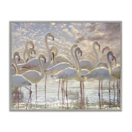 Stupell Industries Pretty Pink White Flamingos Standing Sparkling Water Clouds, Design by Steve Hunziker, 16 x 20, Grey Framed