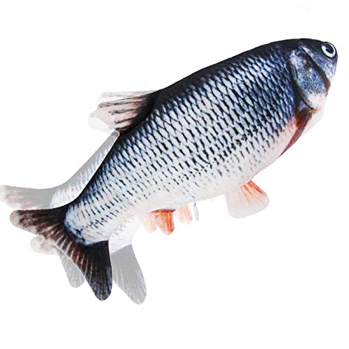 Lpʂ d L  Lbgjbv Lޓ鋛 Aȓ ^sΉ XgX