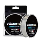 Stealthy - Línea de pesca principal de nailon de 300 m, diseñada para uso discreto (2.0 blanco)