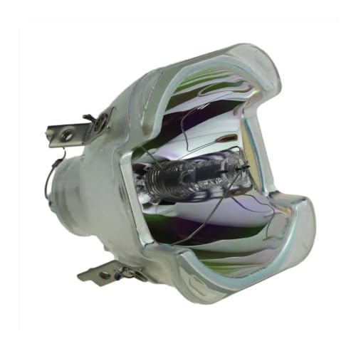 Image of HUZLSDYG Accessories of Projection Lamp Fit for Infocus IN81 IN82
