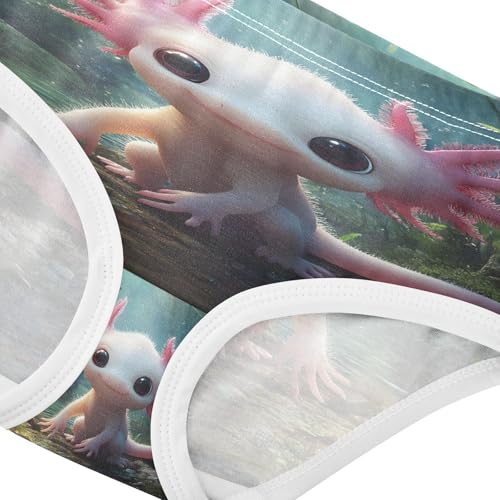 Cute Axolotl Undersea Toddler Girls's Underwear 2T 202b88444
