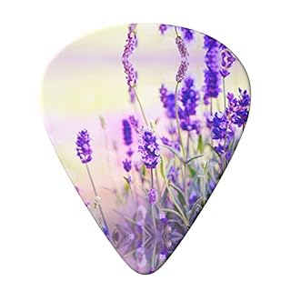 Ensemble de 6 médiators de guitare fleur de lavande pour guitare acoustique, guitare électrique, basse, ukulélé – fin… - Les Beatles, Paul McCartney, John Lennon, RIngo Starr, George Harrison Ensemble de 6 médiators de guitare fleur de lavande pour guitare acoustique, guitare électrique, basse, ukulélé - fin… – Image 3