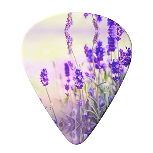 Ensemble de 6 médiators de guitare fleur de lavande pour guitare acoustique, guitare électrique, basse, ukulélé – fin… - Les Beatles, Paul McCartney, John Lennon, RIngo Starr, George Harrison Ensemble de 6 médiators de guitare fleur de lavande pour guitare acoustique, guitare électrique, basse, ukulélé - fin… – Image 4
