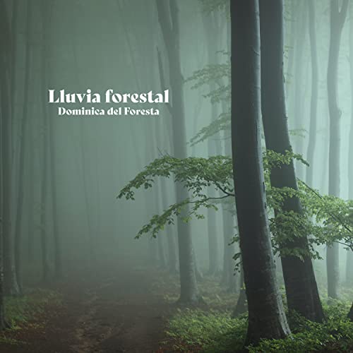 Dominica del Foresta