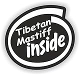 Producimos y enviamos a diario, garantizando una entrega rápida. Perfectas como pegatina para coche, camper, portátil, motocicleta, ventanas, superficies lisas o como regalo original. Ideales tanto para decoración como para identificación. Contenido del envío: 1× pegatina de vinilo de alta calidad 1× instrucciones de montaje impresas Atención al cliente rápida y amable