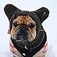Hundemütze – Polarfleece-Hunde-Kapuze, warme Mütze, kaltes Wetter, Ohren-Kapuzenpullover, Kopfwickel, Halswärmer, Schal für kleine und mittelgroße Tiere