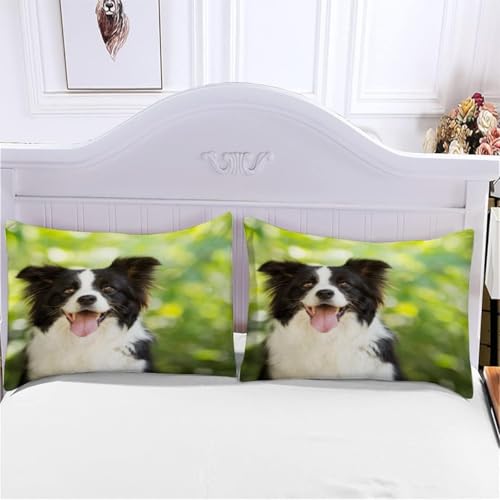 Housse de couette 140x200 Border Collie douce en microfibre 3D avec fermeture éclair