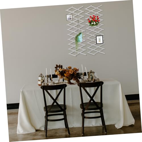 Treillis Mural Blanc à Surface Lisse sans Aspérités pour Plantes Grimpantes - 6